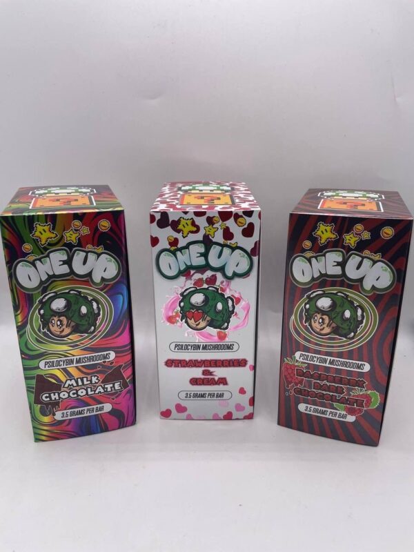 One Up Mushroom Bars - Image 2