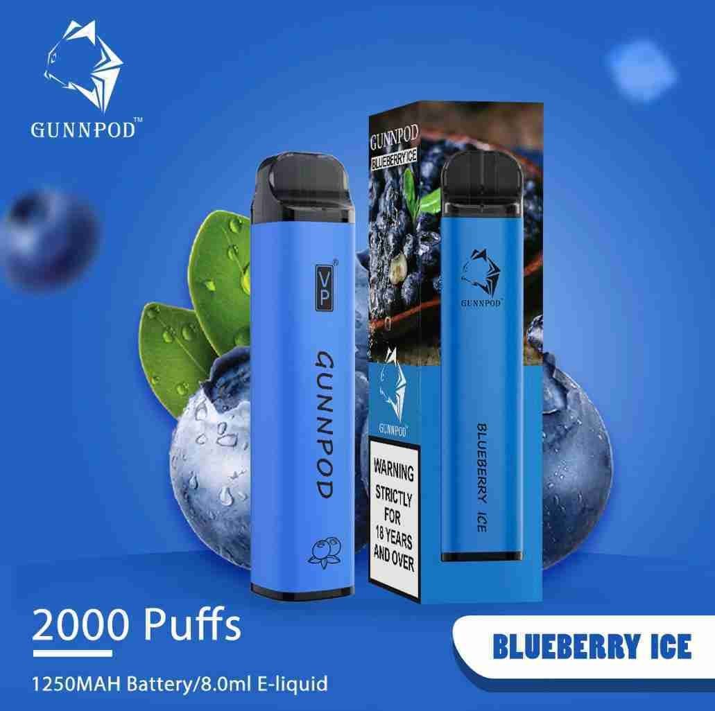 Blueberry Ice-2000 puffs