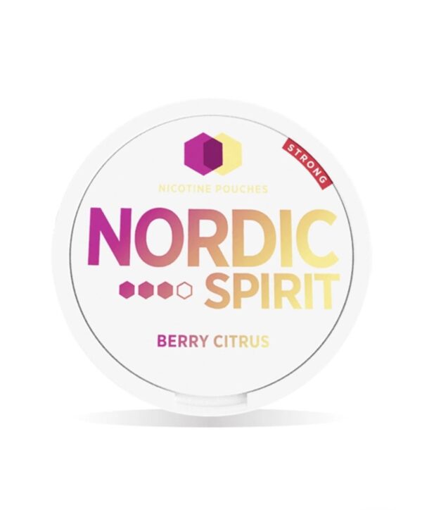 NORDIC SPIRIT NICOTINE POUCHES - Image 2