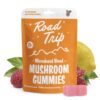 ROAD TRIP – MICRODOSED GUMMIES + FUNCTIONAL MUSHROOMS – PINK LEMONADE
