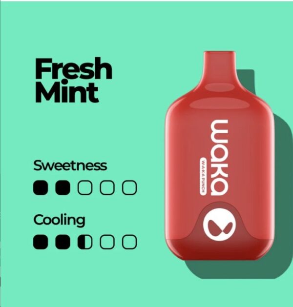 Waka Smash 6000 Puffs Disposable Vape Fresh Mint