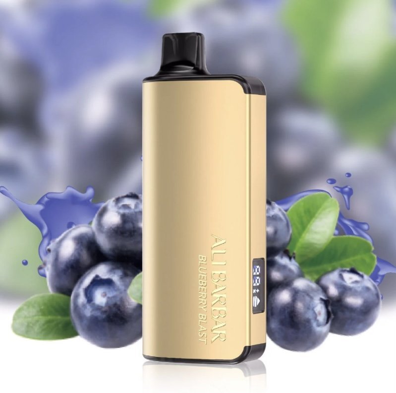 ALIBARBAR INGOT BLUEBERRY BLAST 9000 PUFFS