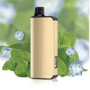 ALIBARBAR INGOT COOL MINT 9000 PUFFS