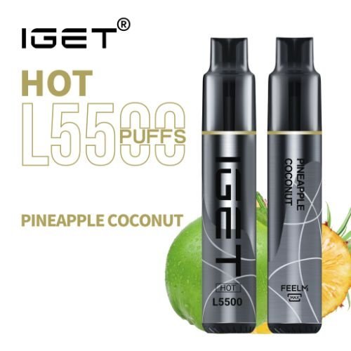 Pineapple Coconut – HOT