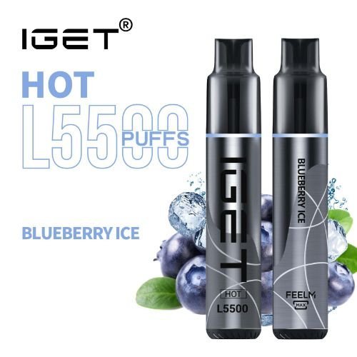 Blueberry Ice – HOT