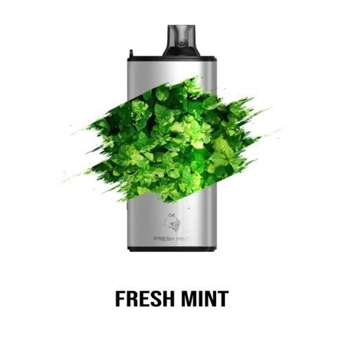 Fresh Mint – GUNNPOD EVO