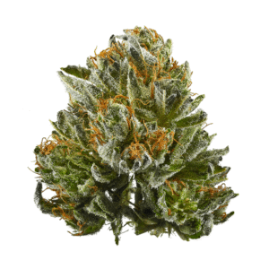 Bubba Runtz Exotic Flower - THC