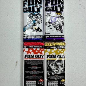 FUN GUY