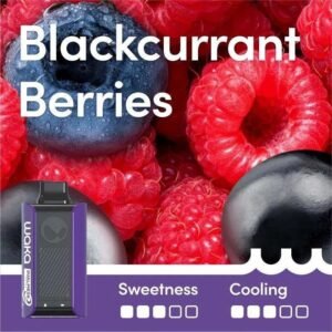 Blackcurrant Berries – SOPRO 10,000