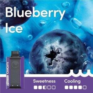 Blueberry Ice – SOPRO 10,000