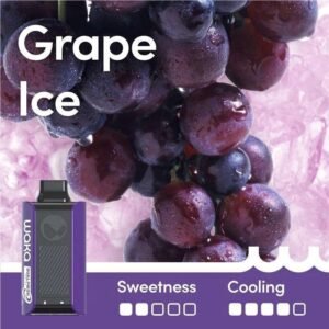 Grape Ice – SOPRO 10,000